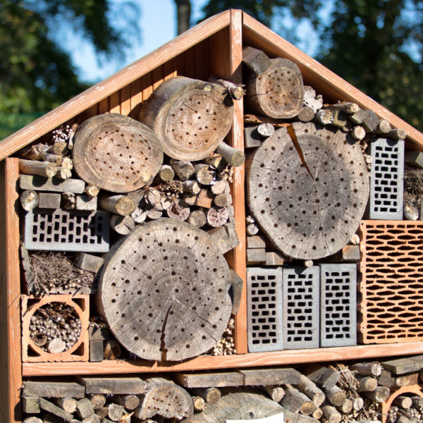 Ontdek de voordelen van een insectenhotel in uw tuin