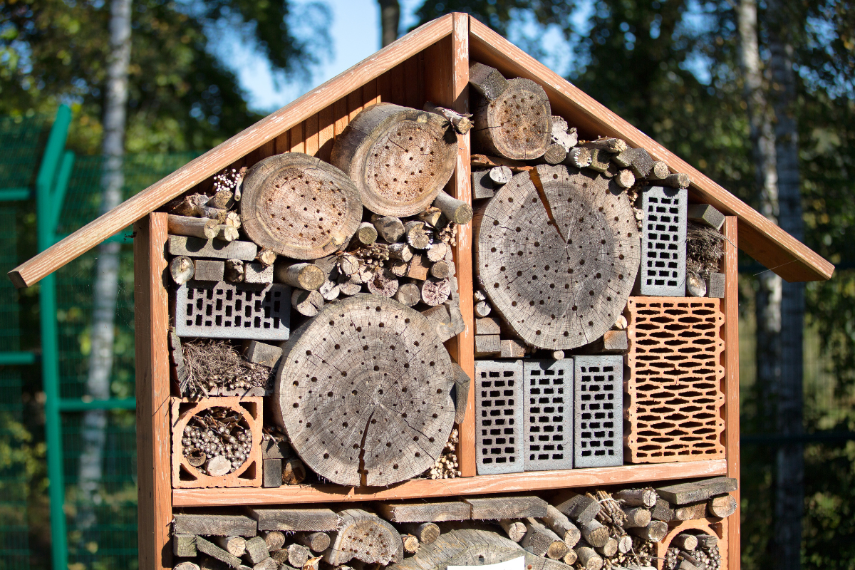 Ontdek de voordelen van een insectenhotel in uw tuin